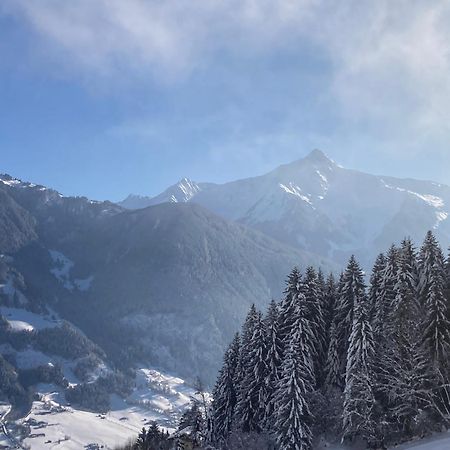 ヒパッハ Goass'N Alm Zillertalヴィラ エクステリア 写真
