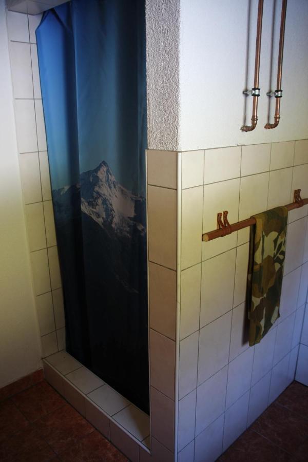 ヒパッハ Goass'N Alm Zillertalヴィラ エクステリア 写真